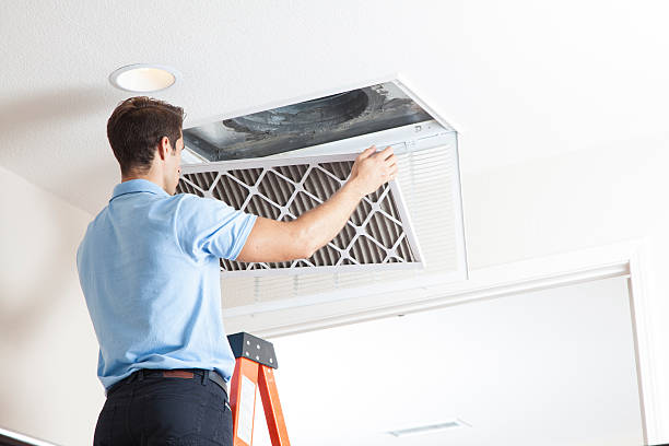 Best Air Filters and Purifiers in Brooklyn Park, MN